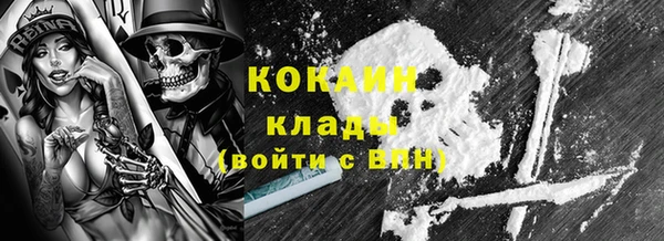 spice Новозыбков