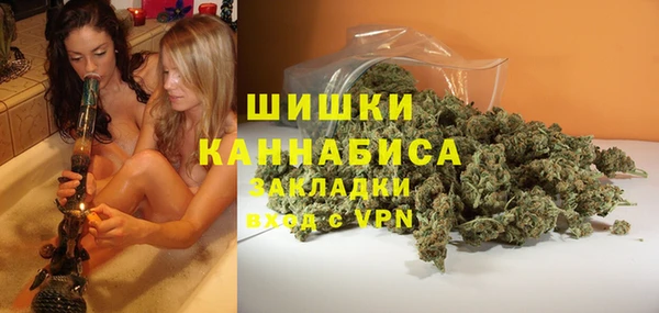 PSILOCYBIN Новокубанск