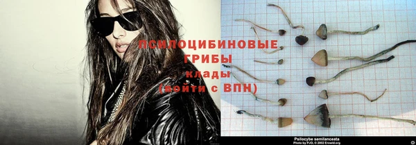 spice Новозыбков